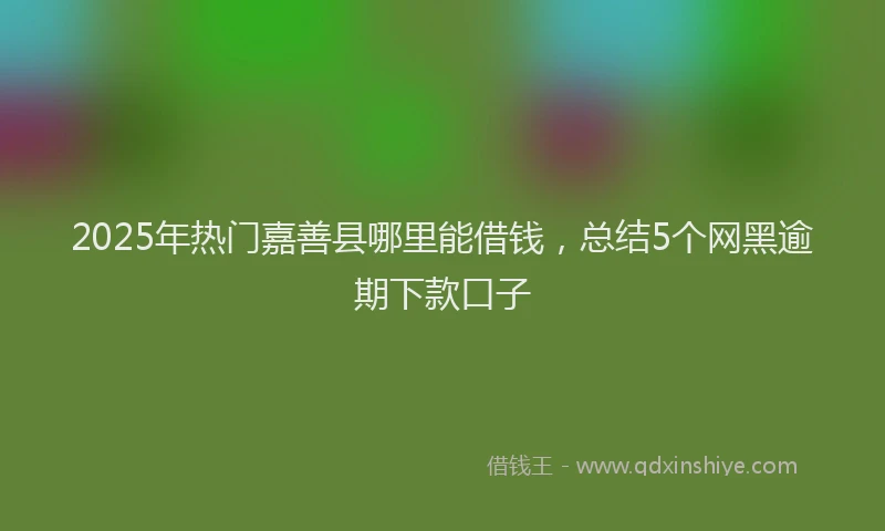 2025年热门嘉善县哪里能借钱，总结5个网黑逾期下款口子