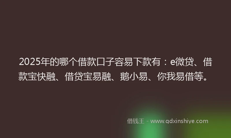 2025年的哪个借款口子容易下款有：e微贷、借款宝快融、借贷宝易融、鹅小易、你我易借等。