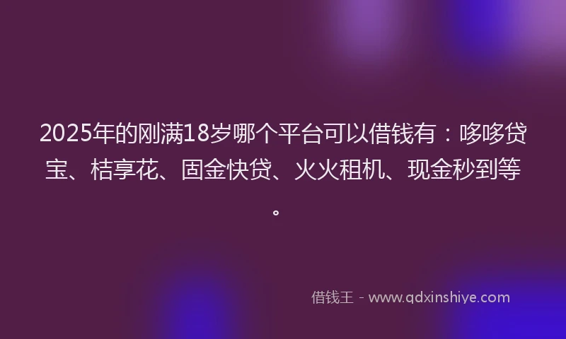 2025年的刚满18岁哪个平台可以借钱有：哆哆贷宝、桔享花、固金快贷、火火租机、现金秒到等。