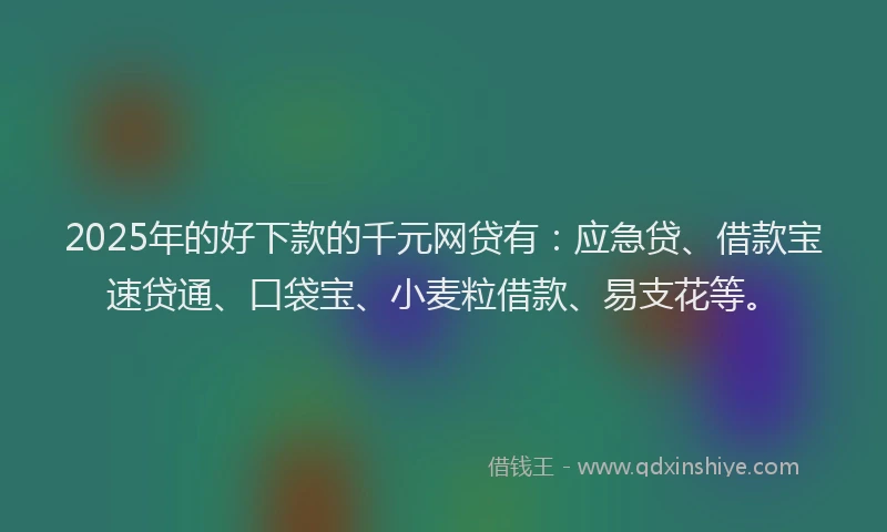 2025年的好下款的千元网贷有：应急贷、借款宝速贷通、口袋宝、小麦粒借款、易支花等。