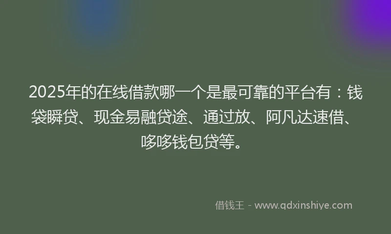 2025年的在线借款哪一个是最可靠的平台有：钱袋瞬贷、现金易融贷途、通过放、阿凡达速借、哆哆钱包贷等。