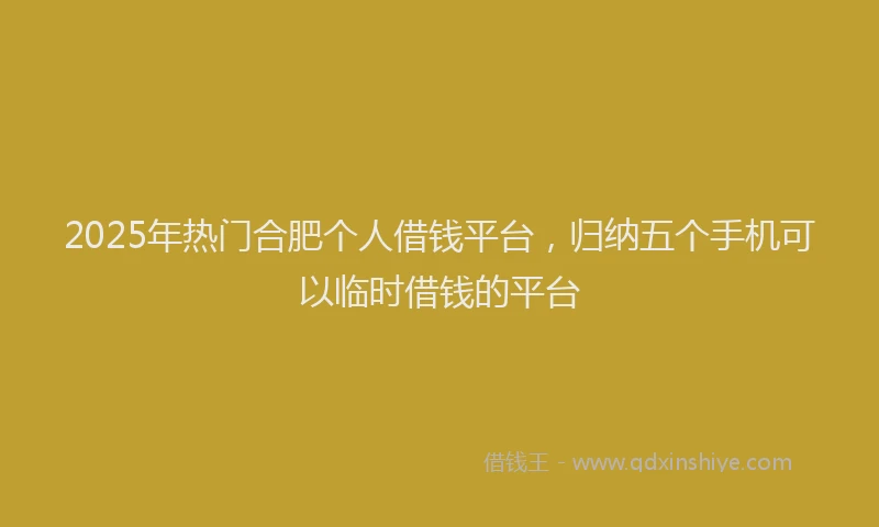 2025年热门合肥个人借钱平台，归纳五个手机可以临时借钱的平台