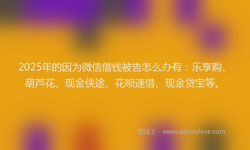 2025年的因为微信借钱被告怎么办有：乐享购、葫芦花、现金侠途、花呗速借、现金贷宝等。