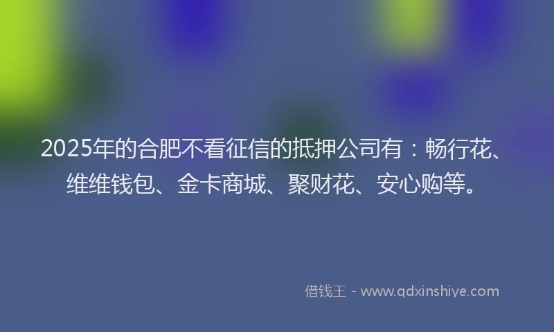 2025年的合肥不看征信的抵押公司有：畅行花、维维钱包、金卡商城、聚财花、安心购等。
