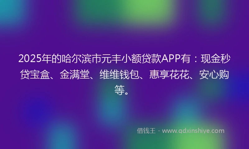 2025年的哈尔滨市元丰小额贷款APP有：现金秒贷宝盒、金满堂、维维钱包、惠享花花、安心购等。