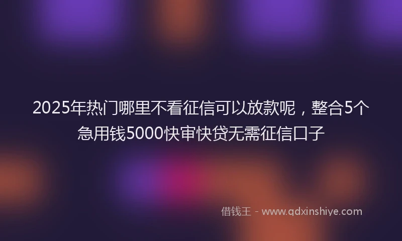 2025年热门哪里不看征信可以放款呢，整合5个急用钱5000快审快贷无需征信口子