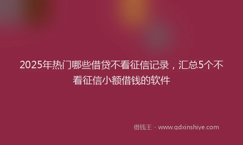 2025年热门哪些借贷不看征信记录，汇总5个不看征信小额借钱的软件