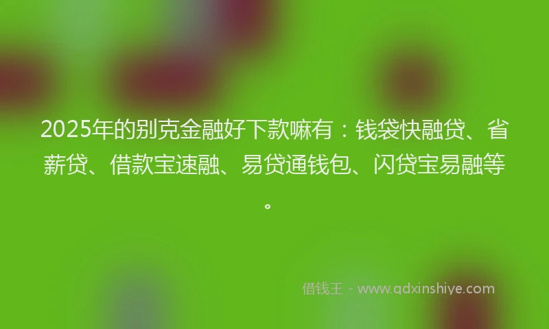 2025年的别克金融好下款嘛有：钱袋快融贷、省薪贷、借款宝速融、易贷通钱包、闪贷宝易融等。