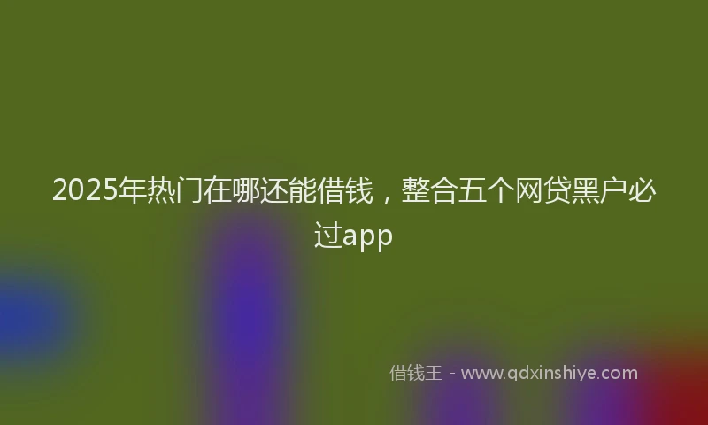 2025年热门在哪还能借钱，整合五个网贷黑户必过app