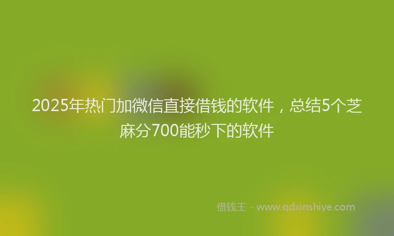 2025年热门加微信直接借钱的软件，总结5个芝麻分700能秒下的软件