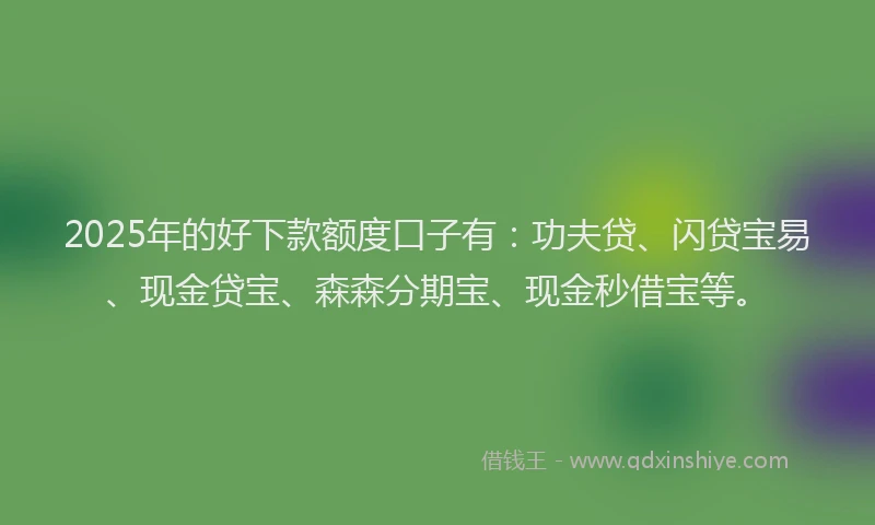 2025年的好下款额度口子有：功夫贷、闪贷宝易、现金贷宝、森森分期宝、现金秒借宝等。
