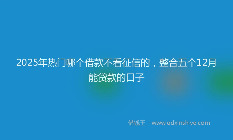 2025年热门哪个借款不看征信的，整合五个12月能贷款的口子