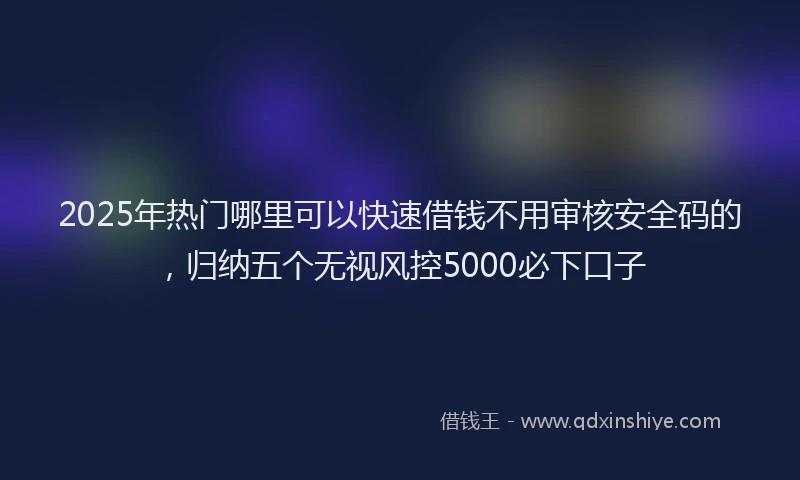 2025年热门哪里可以快速借钱不用审核安全码的，归纳五个无视风控5000必下口子