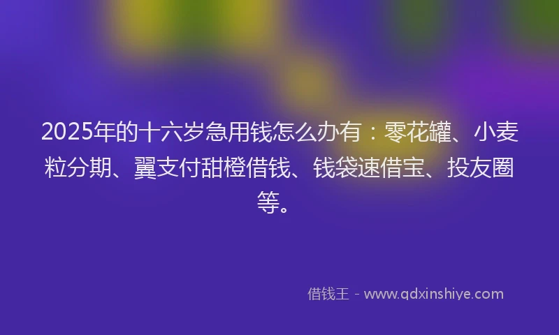 2025年的十六岁急用钱怎么办有：零花罐、小麦粒分期、翼支付甜橙借钱、钱袋速借宝、投友圈等。