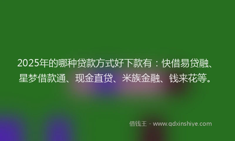 2025年的哪种贷款方式好下款有：快借易贷融、星梦借款通、现金直贷、米族金融、钱来花等。