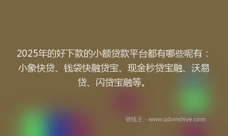 2025年的好下款的小额贷款平台都有哪些呢有：小象快贷、钱袋快融贷宝、现金秒贷宝融、沃易贷、闪贷宝融等。