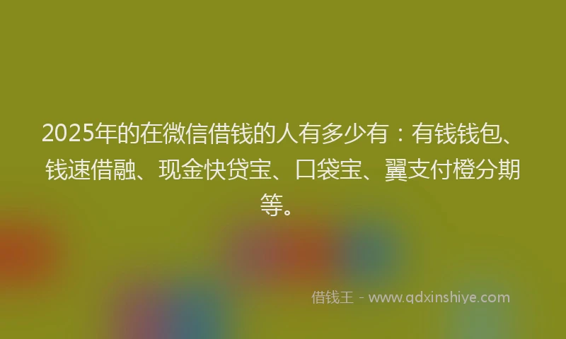 2025年的在微信借钱的人有多少有：有钱钱包、钱速借融、现金快贷宝、口袋宝、翼支付橙分期等。