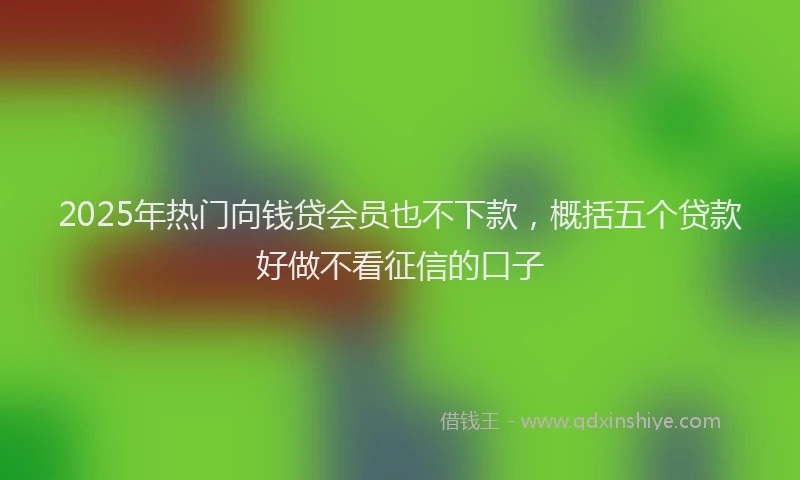 2025年热门向钱贷会员也不下款，概括五个贷款好做不看征信的口子