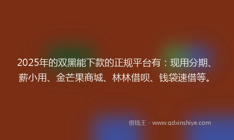 2025年的双黑能下款的正规平台有：现用分期、薪小用、金芒果商城、林林借呗、钱袋速借等。