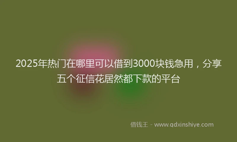 2025年热门在哪里可以借到3000块钱急用，分享五个征信花居然都下款的平台
