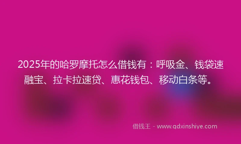 2025年的哈罗摩托怎么借钱有：呼吸金、钱袋速融宝、拉卡拉速贷、惠花钱包、移动白条等。