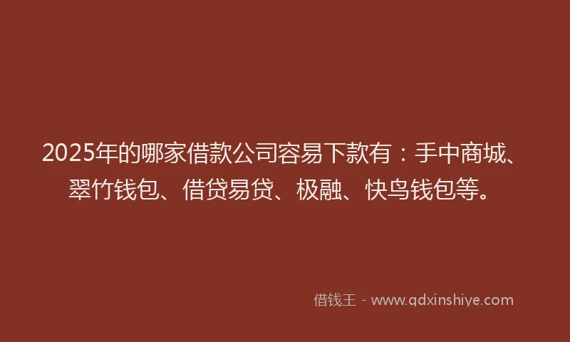 2025年的哪家借款公司容易下款有：手中商城、翠竹钱包、借贷易贷、极融、快鸟钱包等。