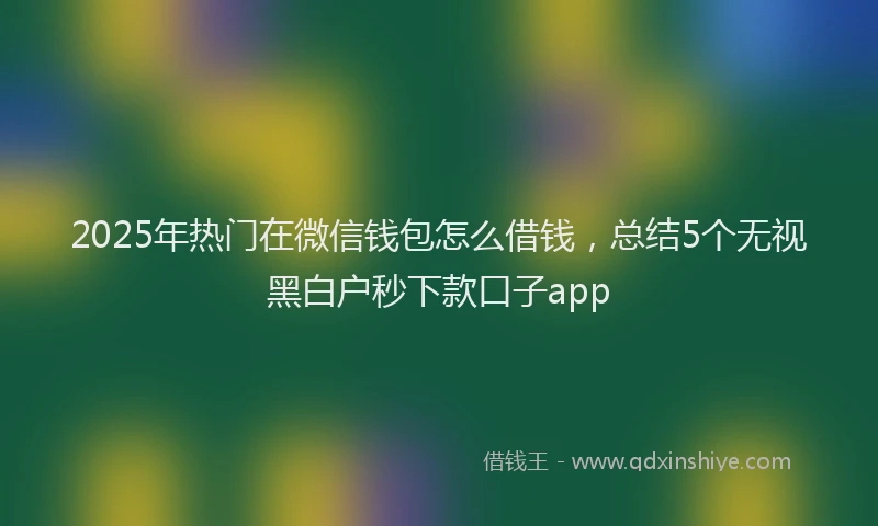 2025年热门在微信钱包怎么借钱，总结5个无视黑白户秒下款口子app