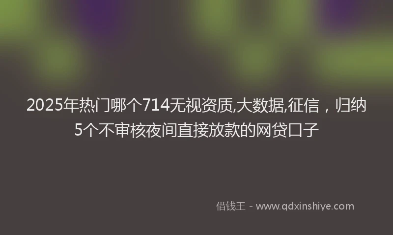 2025年热门哪个714无视资质,大数据,征信，归纳5个不审核夜间直接放款的网贷口子