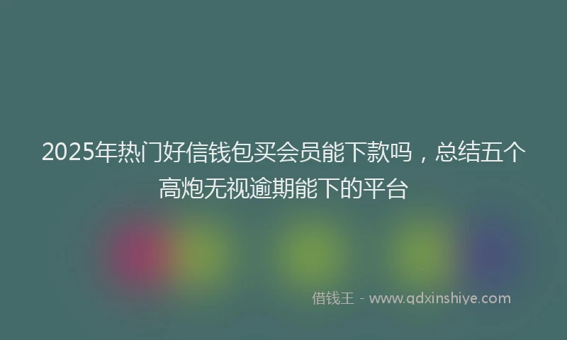 2025年热门好信钱包买会员能下款吗，总结五个高炮无视逾期能下的平台