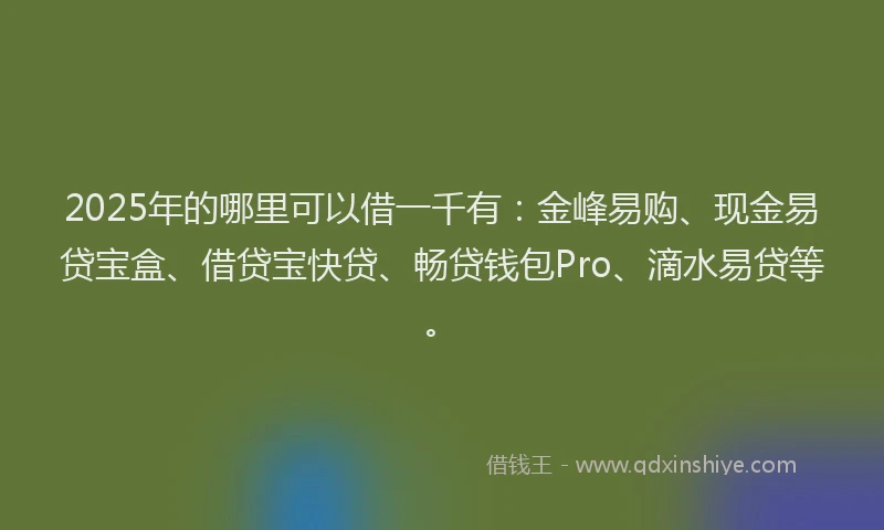 2025年的哪里可以借一千有：金峰易购、现金易贷宝盒、借贷宝快贷、畅贷钱包Pro、滴水易贷等。