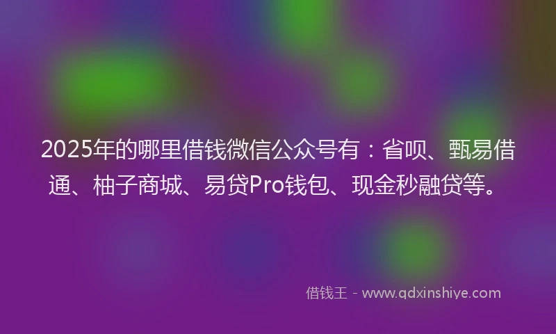 2025年的哪里借钱微信公众号有：省呗、甄易借通、柚子商城、易贷Pro钱包、现金秒融贷等。
