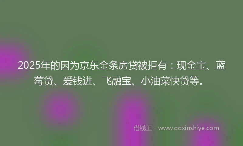 2025年的因为京东金条房贷被拒有：现金宝、蓝莓贷、爱钱进、飞融宝、小油菜快贷等。