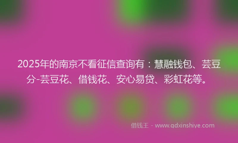 2025年的南京不看征信查询有：慧融钱包、芸豆分-芸豆花、借钱花、安心易贷、彩虹花等。