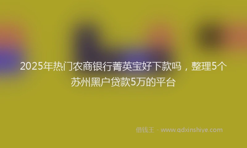 2025年热门农商银行菁英宝好下款吗，整理5个苏州黑户贷款5万的平台