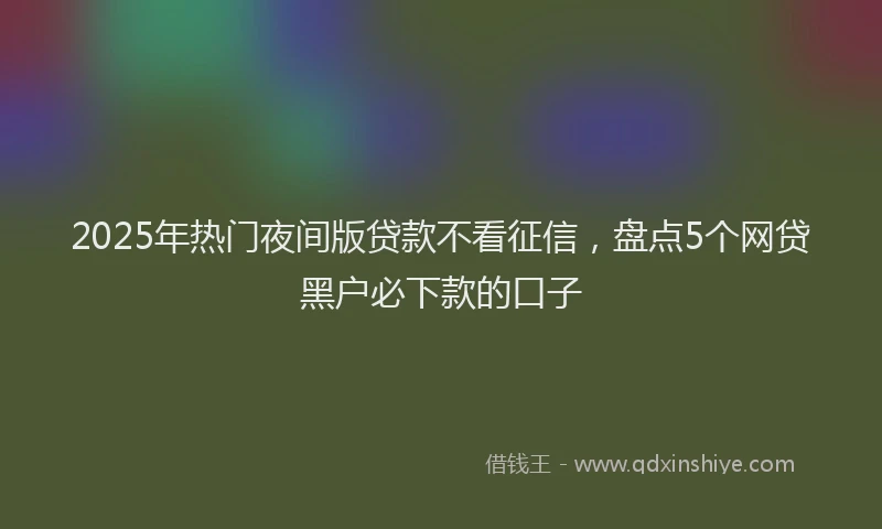 2025年热门夜间版贷款不看征信，盘点5个网贷黑户必下款的口子