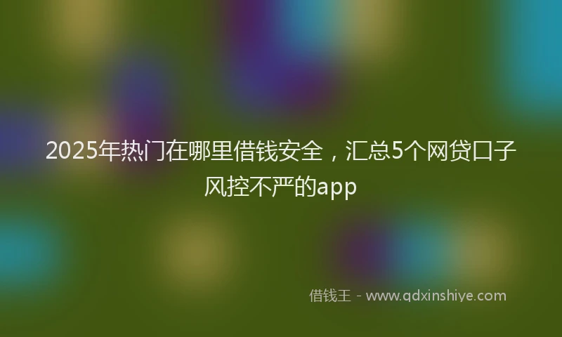 2025年热门在哪里借钱安全，汇总5个网贷口子风控不严的app