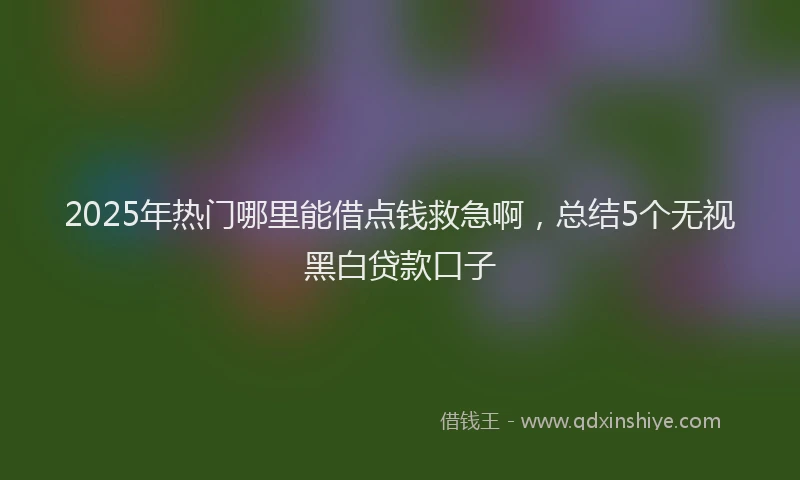 2025年热门哪里能借点钱救急啊，总结5个无视黑白贷款口子