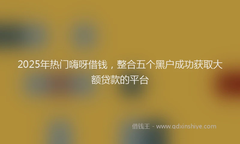 2025年热门嗨呀借钱，整合五个黑户成功获取大额贷款的平台