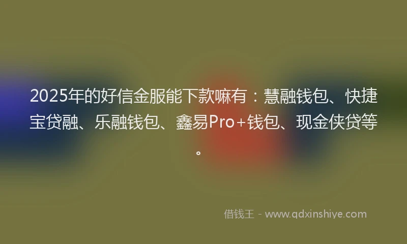 2025年的好信金服能下款嘛有：慧融钱包、快捷宝贷融、乐融钱包、鑫易Pro+钱包、现金侠贷等。