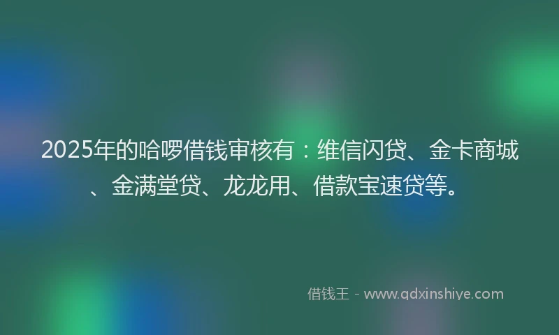 2025年的哈啰借钱审核有：维信闪贷、金卡商城、金满堂贷、龙龙用、借款宝速贷等。