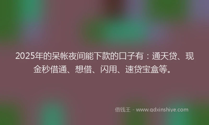 2025年的呆帐夜间能下款的口子有：通天贷、现金秒借通、想借、闪用、速贷宝盒等。