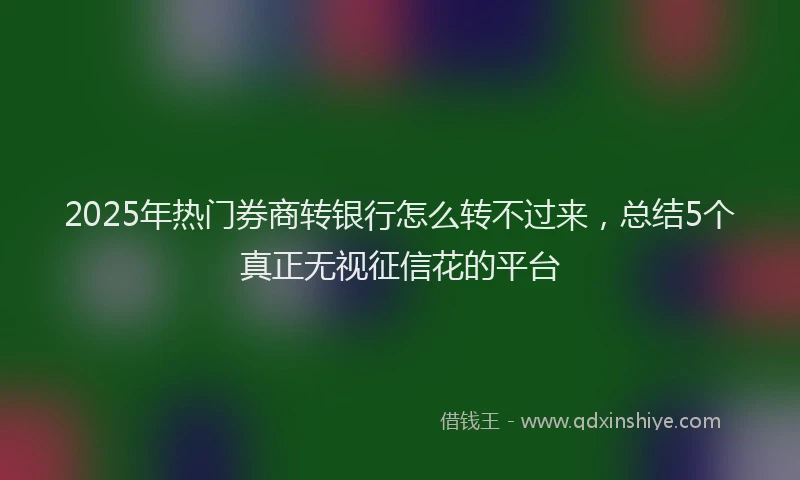 2025年热门券商转银行怎么转不过来，总结5个真正无视征信花的平台