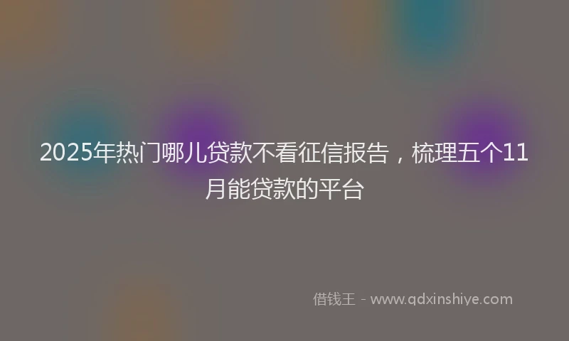 2025年热门哪儿贷款不看征信报告，梳理五个11月能贷款的平台