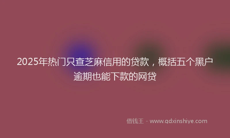2025年热门只查芝麻信用的贷款，概括五个黑户逾期也能下款的网贷