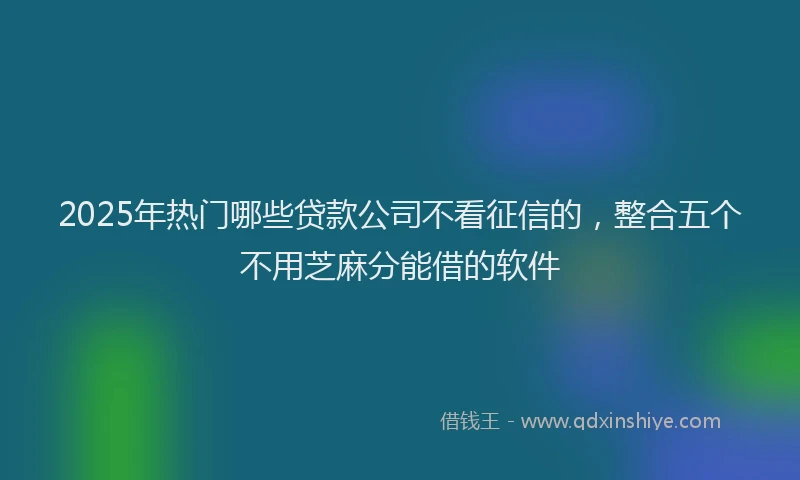 2025年热门哪些贷款公司不看征信的，整合五个不用芝麻分能借的软件