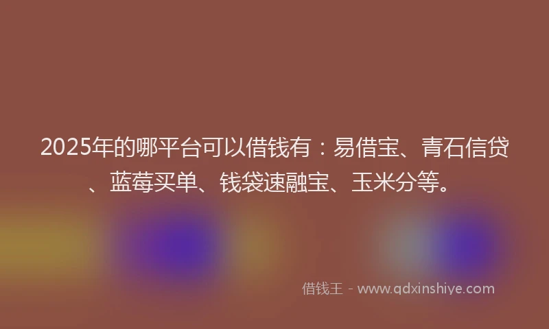 2025年的哪平台可以借钱有：易借宝、青石信贷、蓝莓买单、钱袋速融宝、玉米分等。