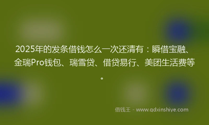2025年的发条借钱怎么一次还清有：瞬借宝融、金瑞Pro钱包、瑞雪贷、借贷易行、美团生活费等。