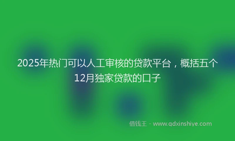 2025年热门可以人工审核的贷款平台，概括五个12月独家贷款的口子