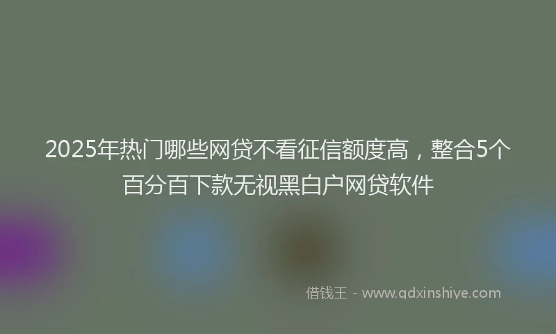 2025年热门哪些网贷不看征信额度高，整合5个百分百下款无视黑白户网贷软件