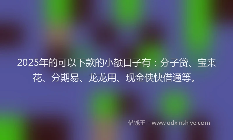 2025年的可以下款的小额口子有：分子贷、宝来花、分期易、龙龙用、现金侠快借通等。